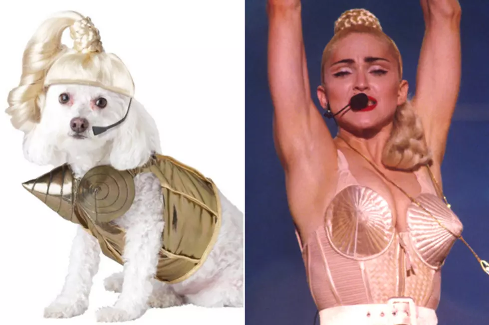 DogHalloweenCostumesShop.com / Frank Micelotta, Getty Images