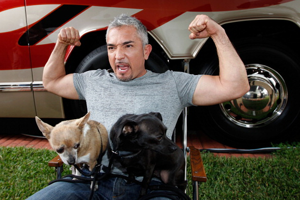 Cesar Millan Coming to Bozeman&#8217;s Brick Breeden Fieldhouse