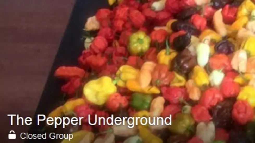 New Facebook Group for Pepper Lovers