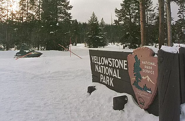 Yellowstone Reports Visitation Was Down in October