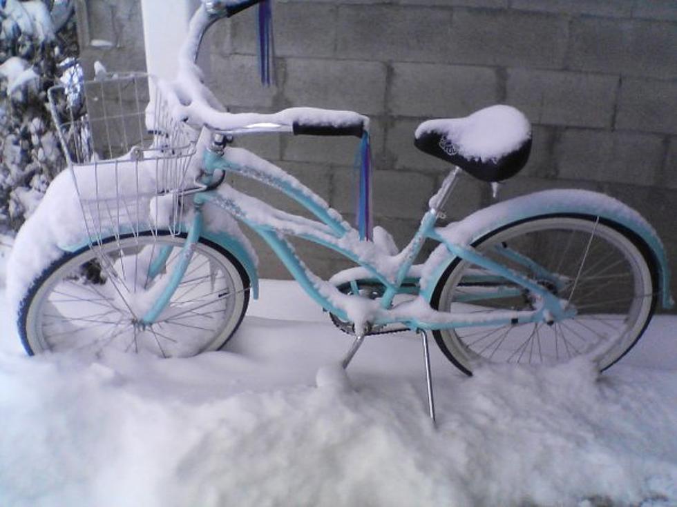 City of Bozeman Bicycle and Unclaimed Property Auction THIS SATURDAY