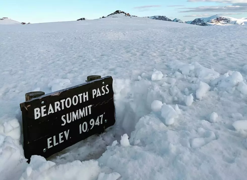 Snow Shuts Down Beartooth Pass Near YNP