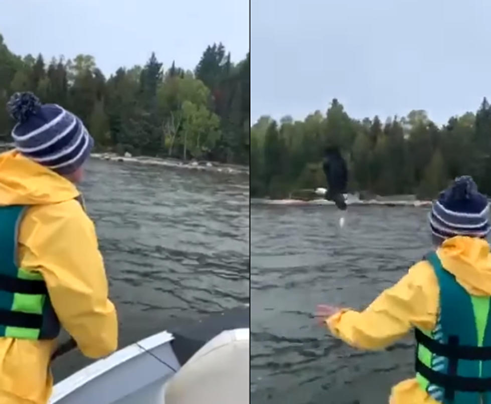 Bald Eagle Makes Amazing Catch After Boy Throws Fish in the Air