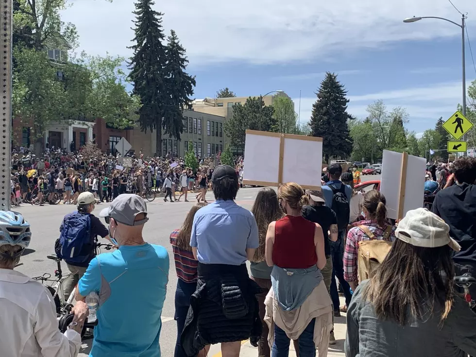 Another Protest in Bozeman Planned for Friday
