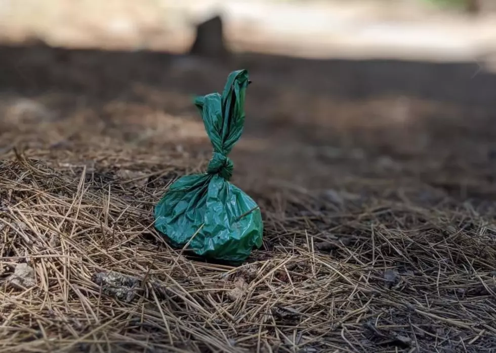 Bozeman Area Hikers Raise Stink About Poop Bags