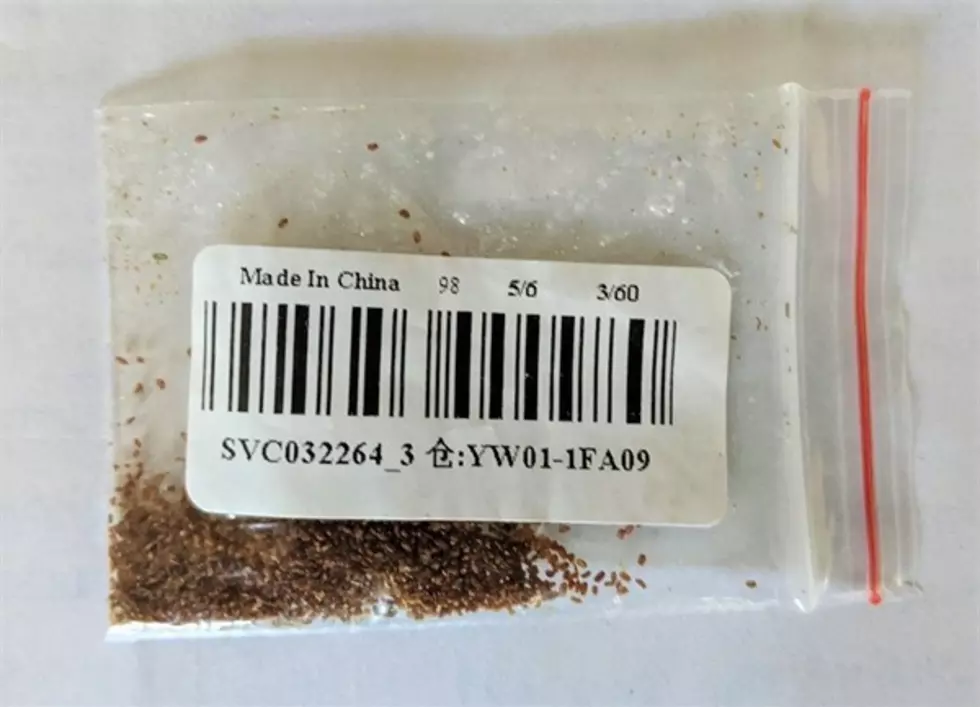 Mysterious Packages Of Seeds Arriving in Montana Mailboxes