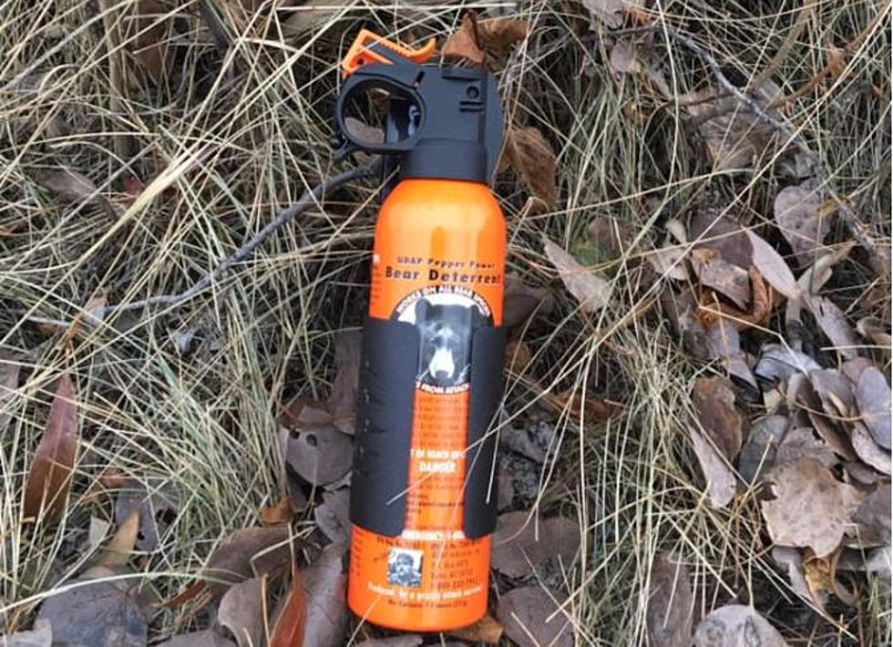 UDAP Recommends Test Firing Bear Spray