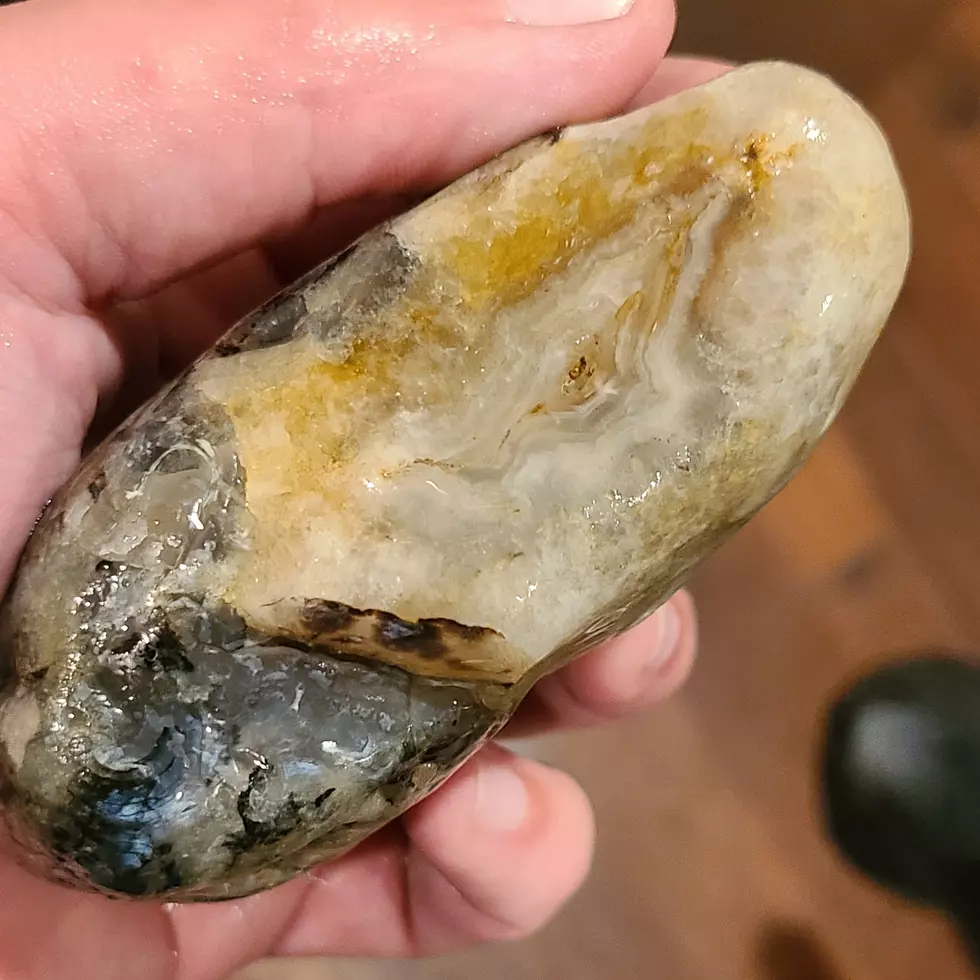 Rock Hounding in Montana: Here Are My Best Finds From 2020