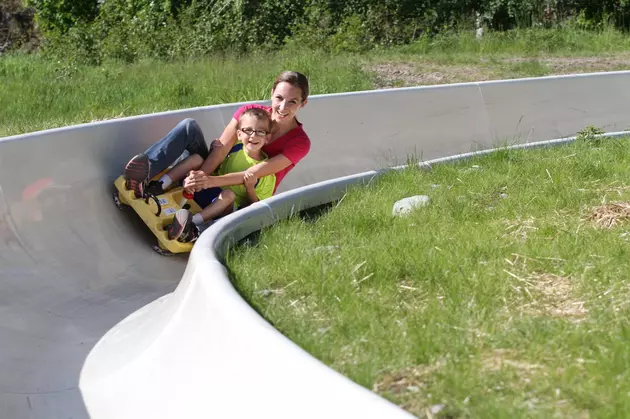 Would You Ride a Mountain Coaster in Montana?