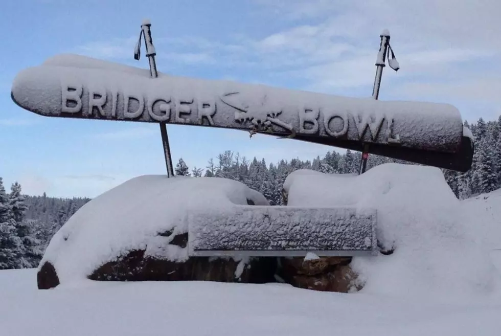 Skier Found Dead at Bridger Bowl