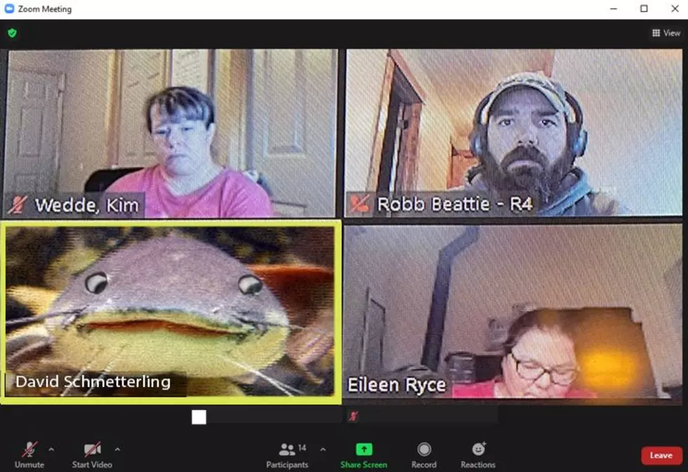 Montana FWP Shares Hilarious "Catfish" Zoom Call Photo