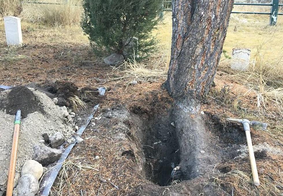 Treasure Hunter Sentenced For Damaging Cemetery in Yellowstone