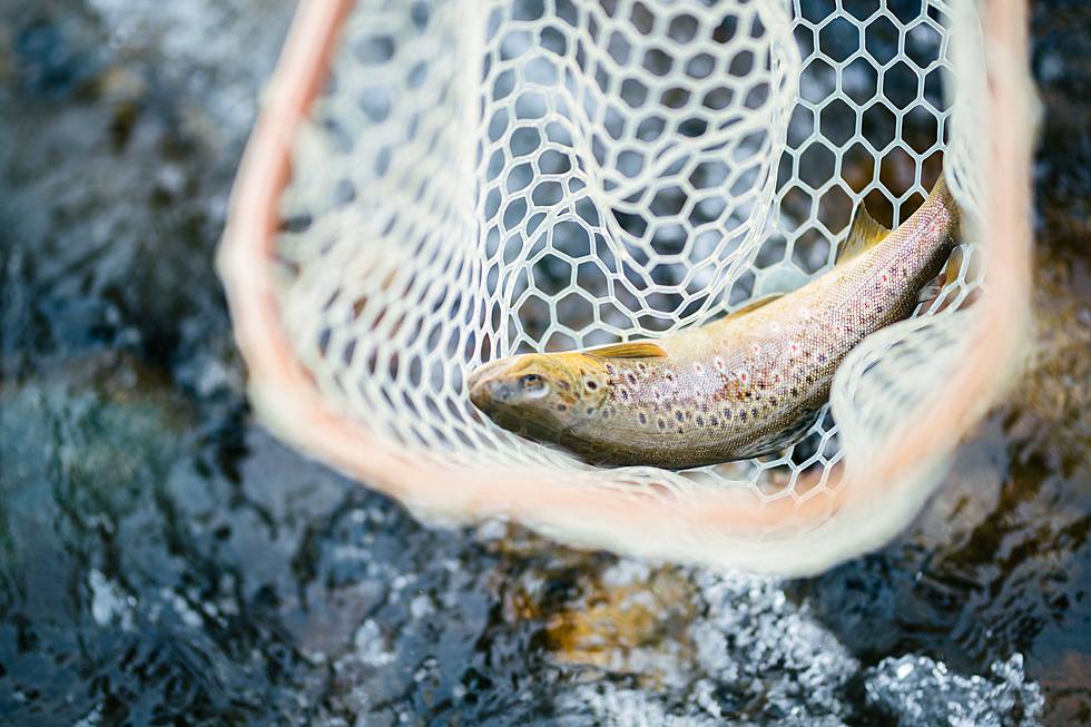 Fishing Closures and Restrictions For Rivers in SW Montana