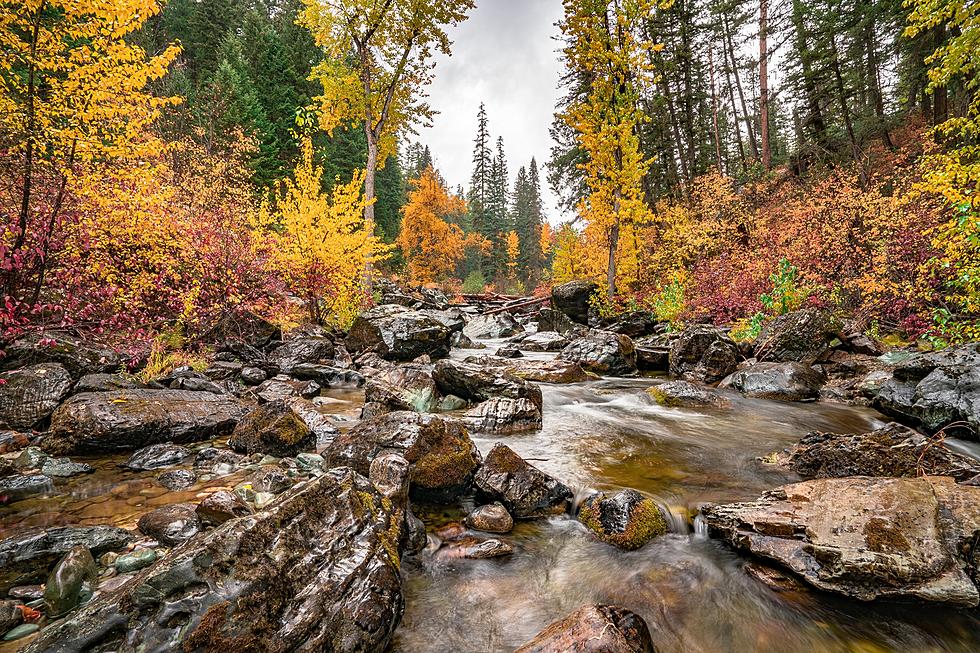 See Montana's Breathtaking Fall Colors on This Scenic Drive