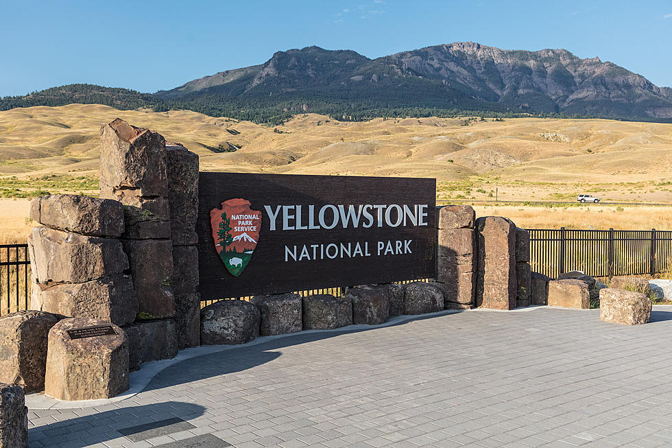 Officials Find Body of Missing Man in Yellowstone National Park