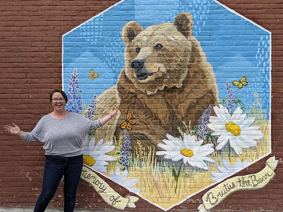 Montana Artist Completes Brutus the Bear Mural in Livingston