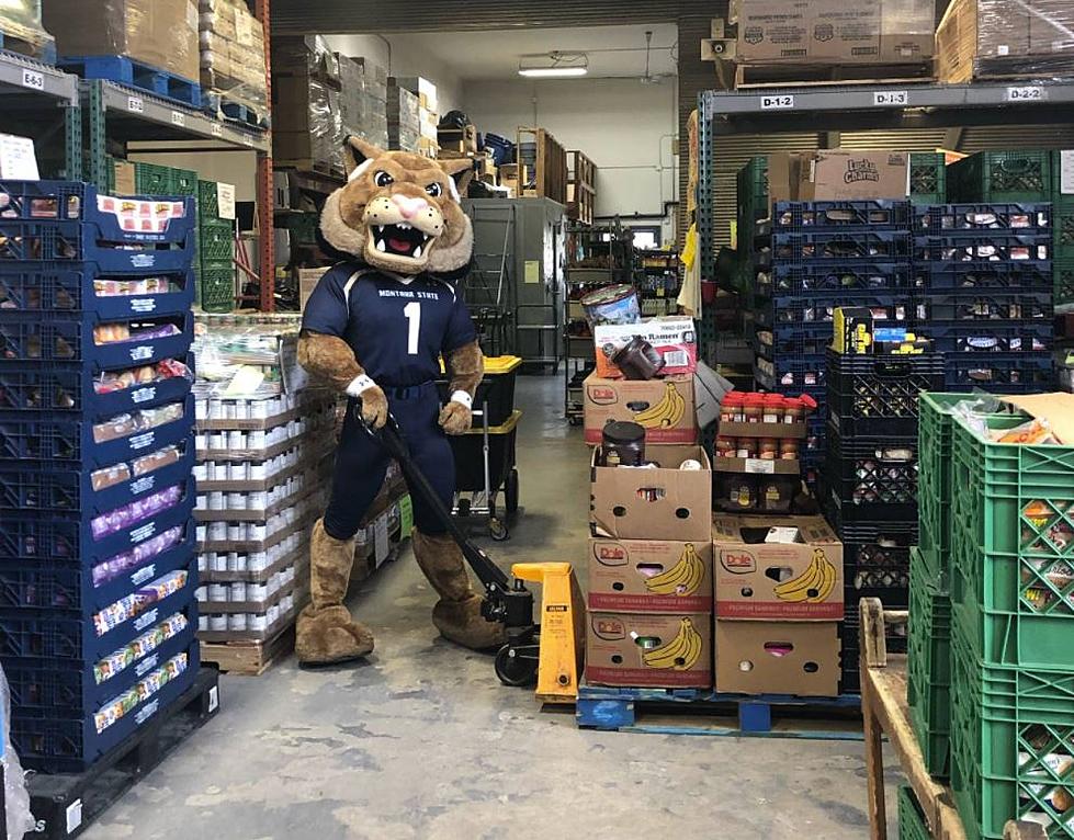 Montana State Breaks Record, Wins ‘Can the Griz’ Food Drive
