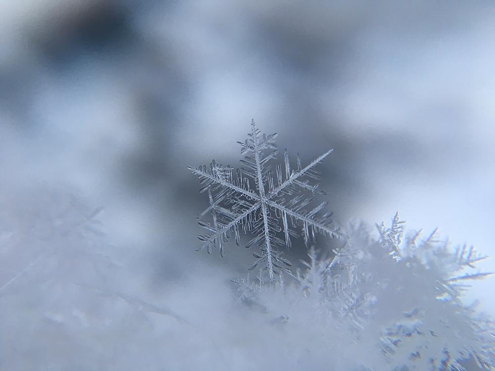 Largest Snowflake in The World Fell in Montana Over 100 Years Ago