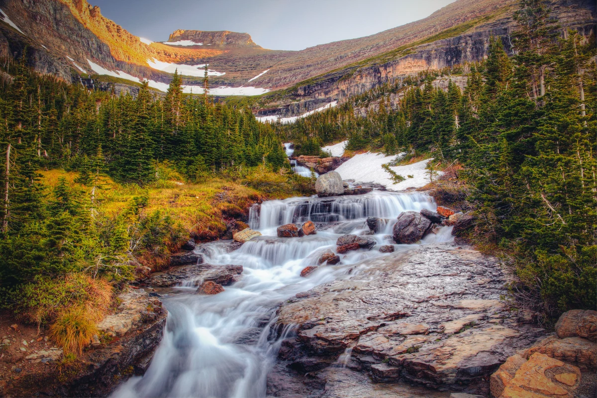 Spring Time In Montana 6 Things We Love About Spring in Montana