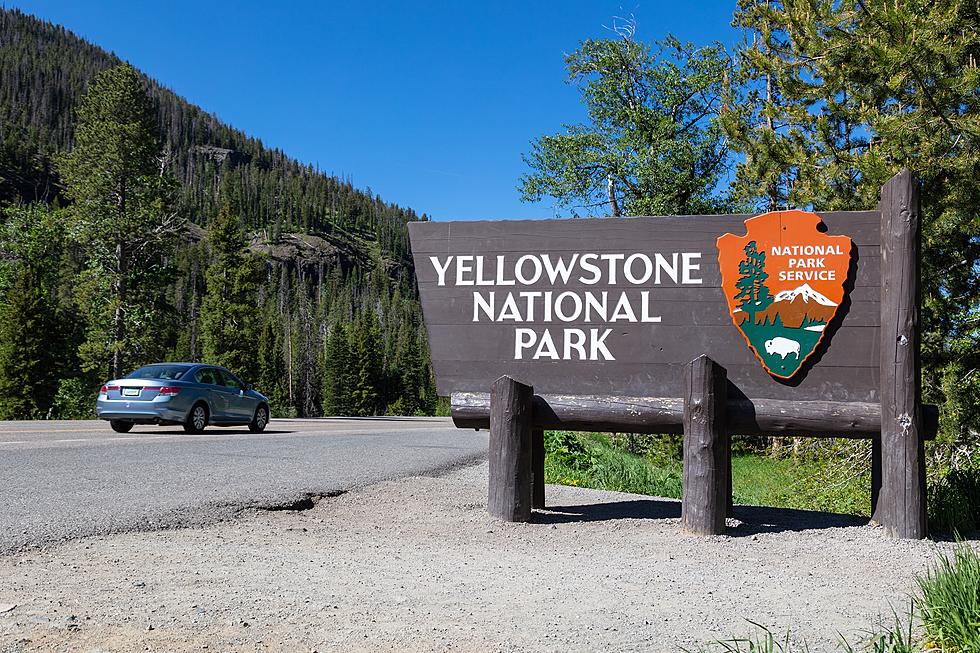 5 Days You Can Get Into Yellowstone National Park For Free