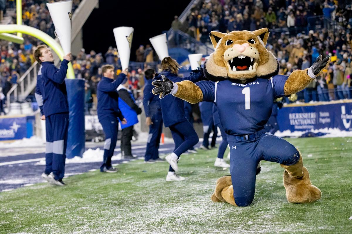 Exciting 2025 Montana State Score Predictions You Need to See