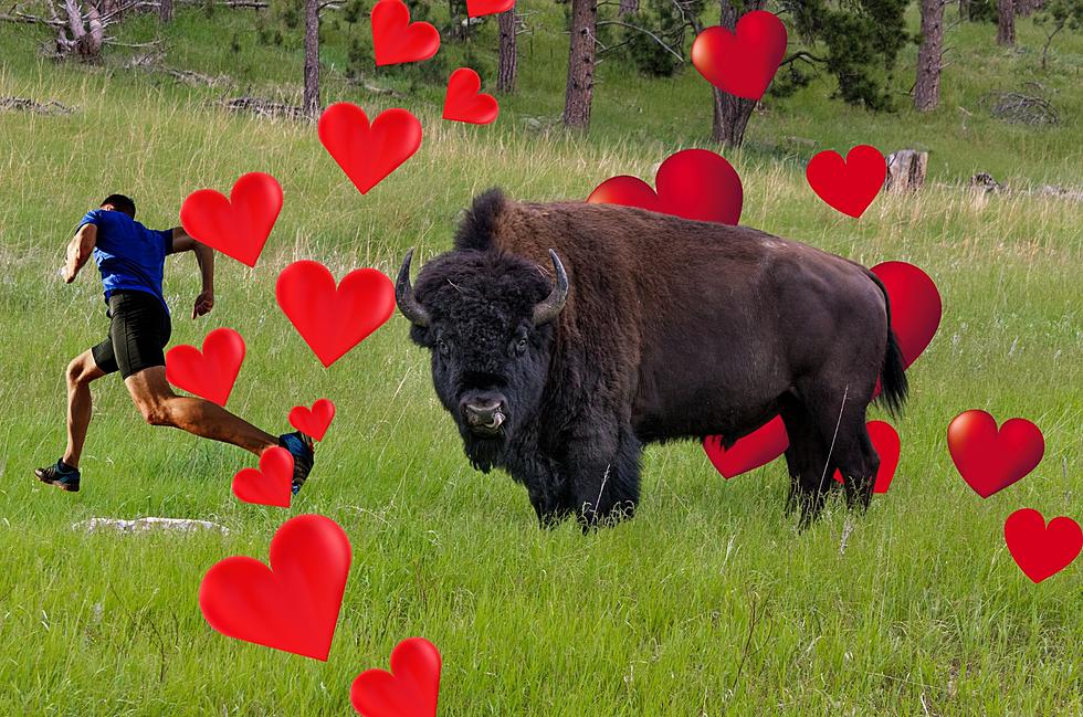 9 Terrific Valentine's Day Cards That Are National Park Approved