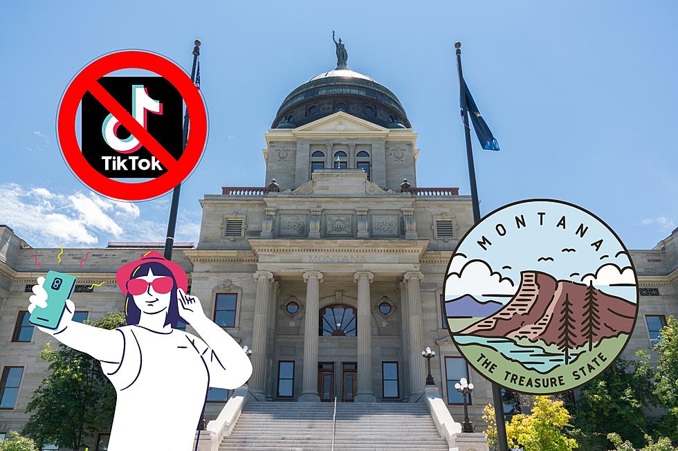 Should TikTok Be Banned in Montana? How Do You Feel About It?