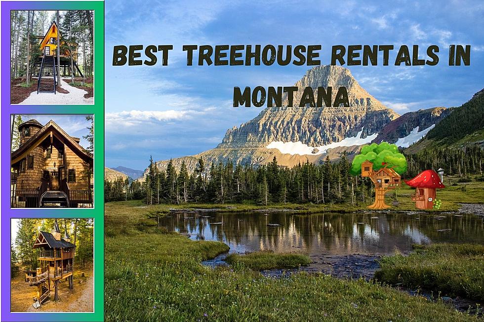 Three Enchanting Treehouse Rentals in MT Among Best in Country