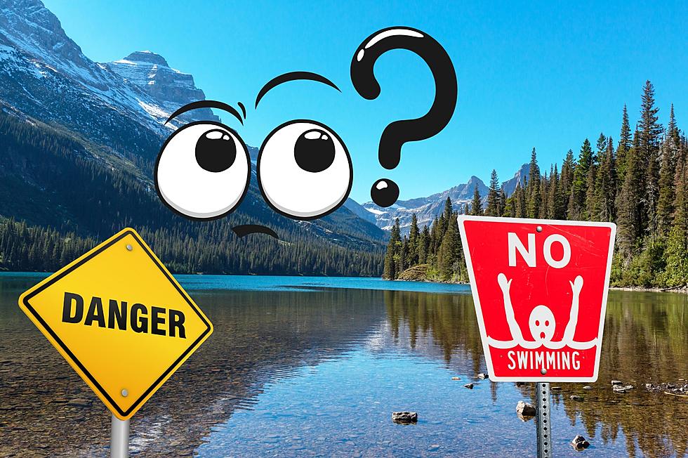 Yikes! One Animal You Definitely Want to Avoid in Montana