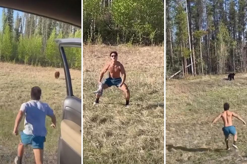 [WATCH] Dumb Tourist Quickly Regrets Chasing Bear in Yellowstone