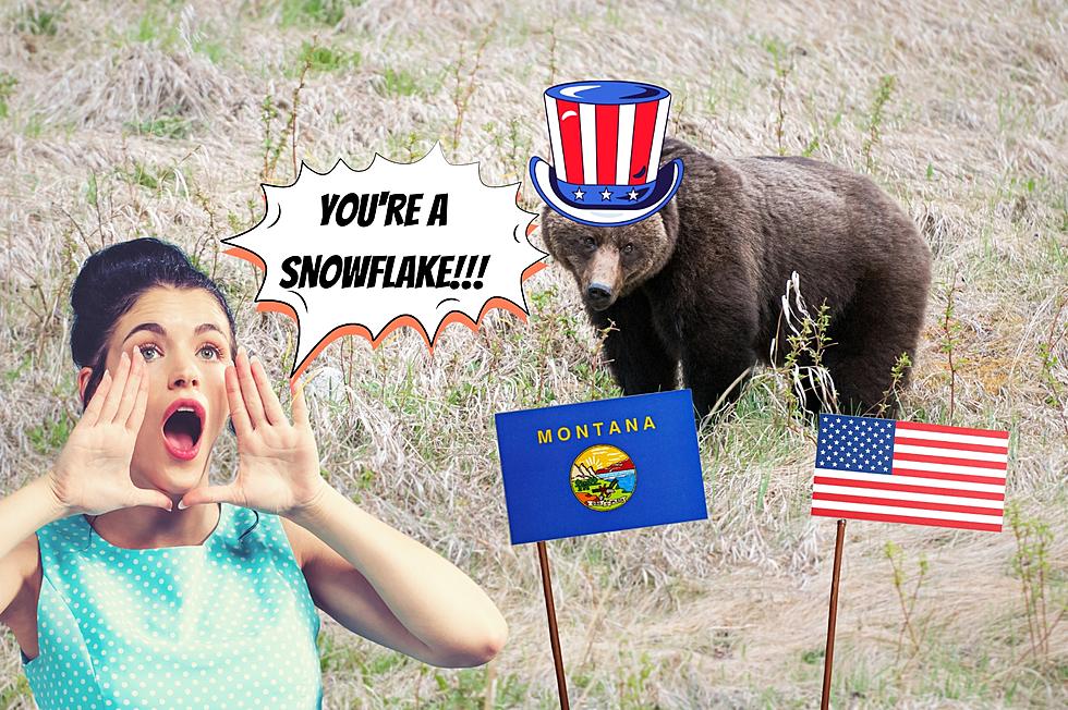 10 Popular Political Phrases to Scream at Grizzly Bears in MT