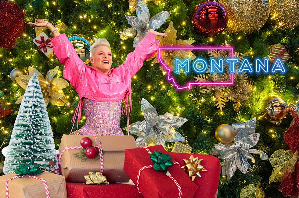 The Best Christmas Gift! Free Tickets to P!NK in Missoula