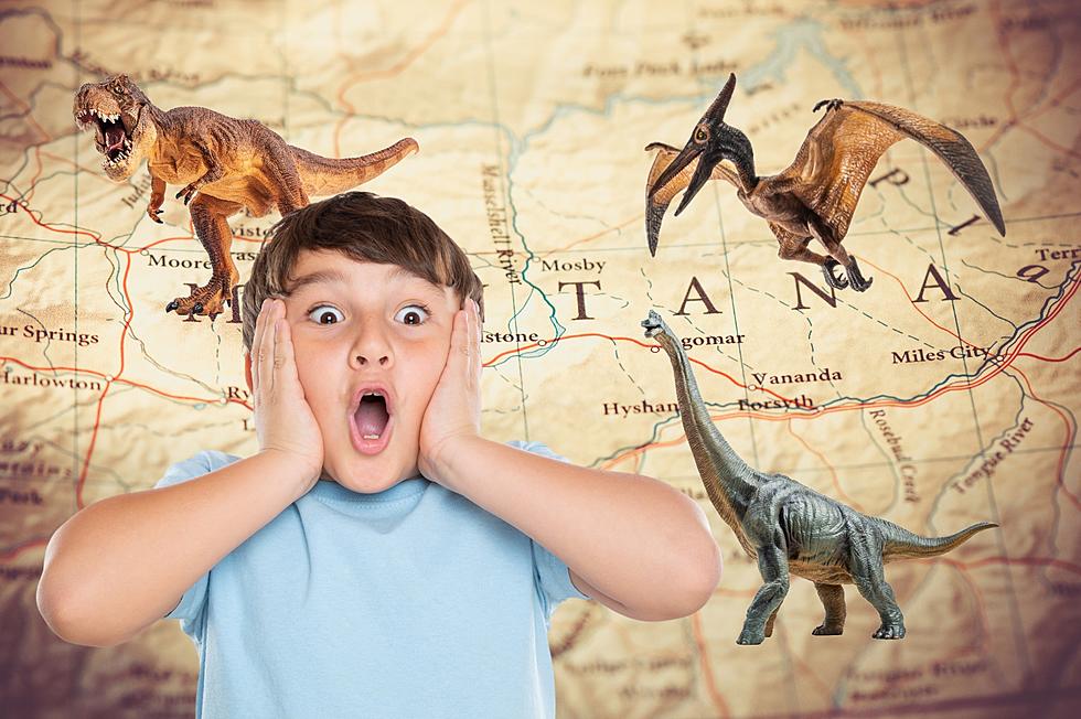 Love Dinosaurs? You Need to Visit This Awesome Montana Attraction