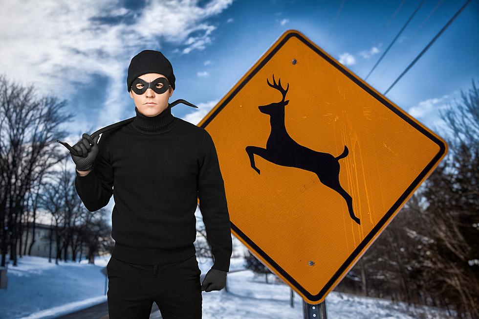 Dumb Criminals Are Now Stealing This Unusual Item in Montana