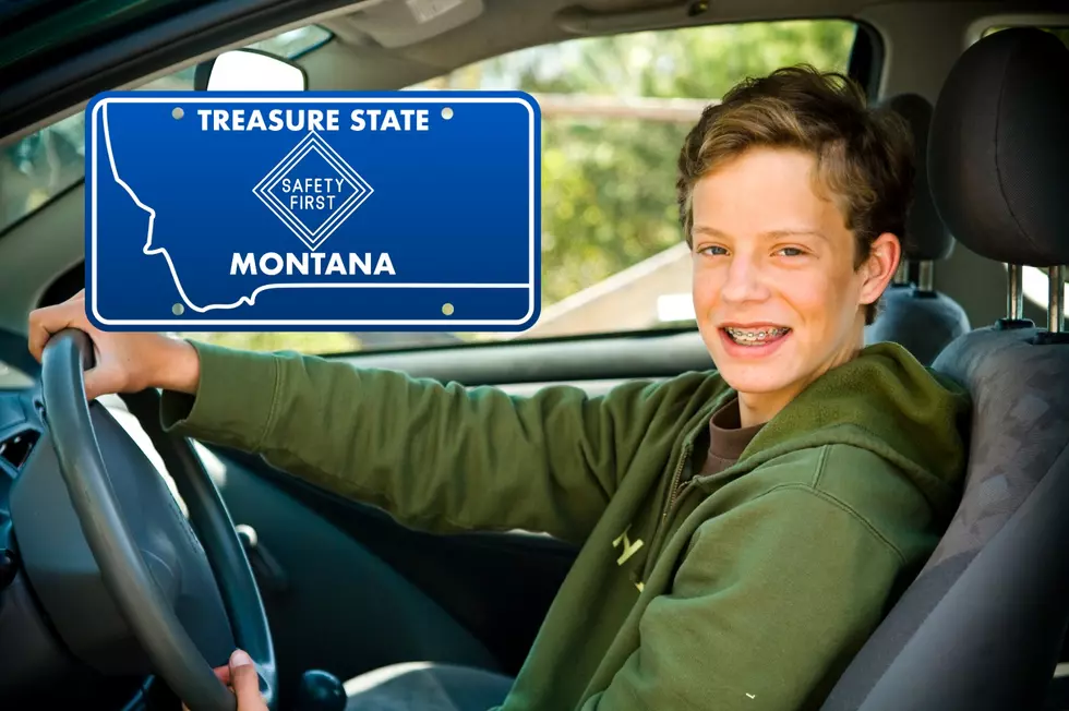 New Driver on the Road? Montana Survival Guide for Teens