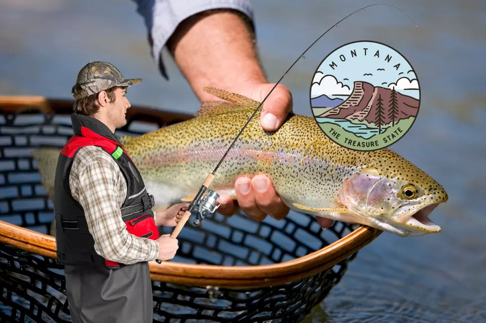 Catch a Big One! 7 of the Best Fishing Spots in Montana