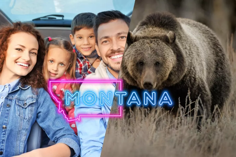 The Best of Montana: Your Ultimate Family Vacation Guide