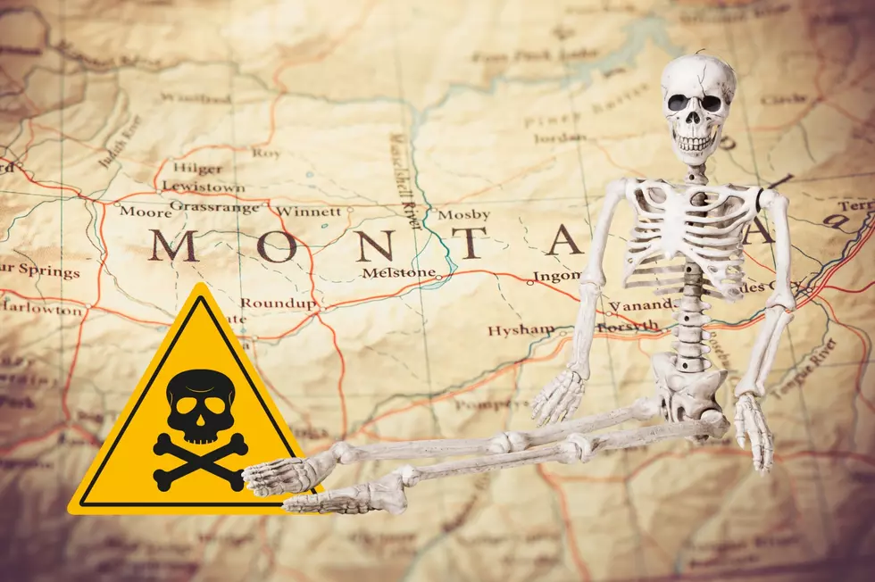 This Popular Tourist Attraction Is The Most Deadly in Montana