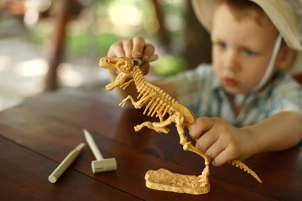 Montana Dinosaur Trail