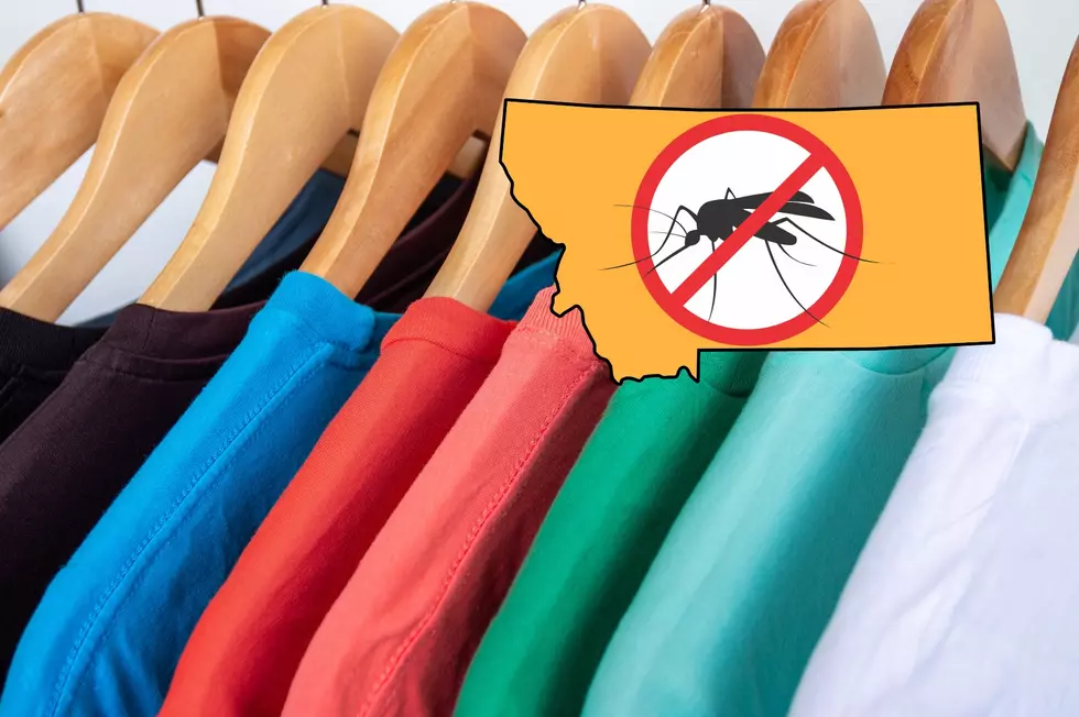 Don&#8217;t Love Mosquitoes? Avoid Wearing These 4 Colors in Montana