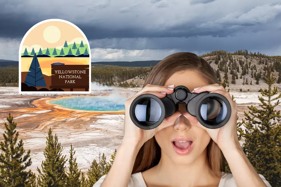Love Yellowstone? 9 Things You Need To Know Before You Go