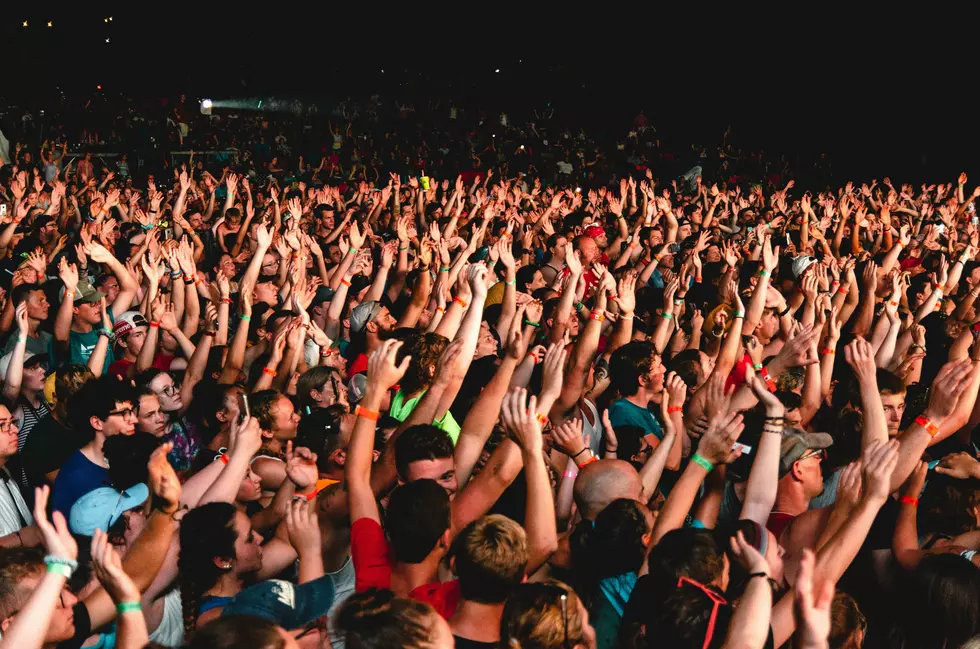 Concert Crowd