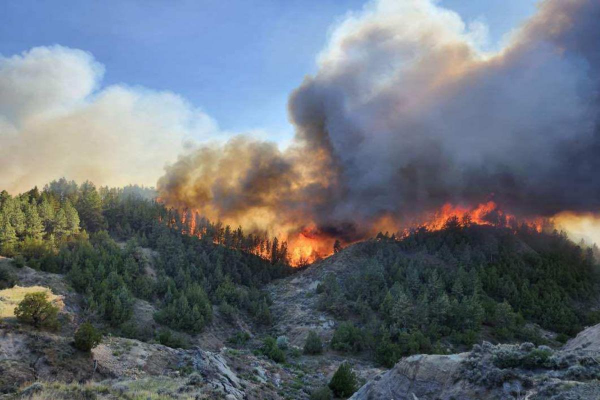 Massive Wildfire Forces Closure of Popular Montana State Park