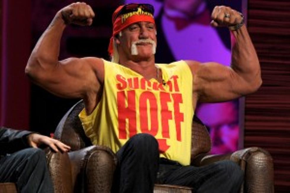 Hulk Hogan Will Train Little Wrestlers for New Reality Show