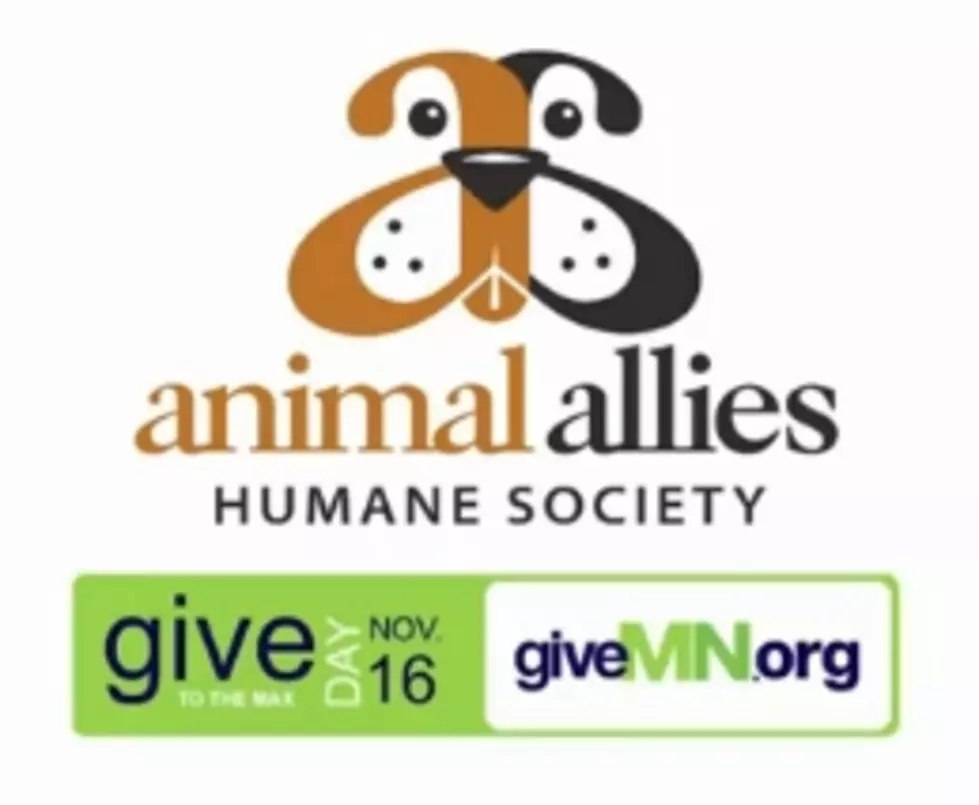 Help Animal Allies And Donate For Give To The Max Day 