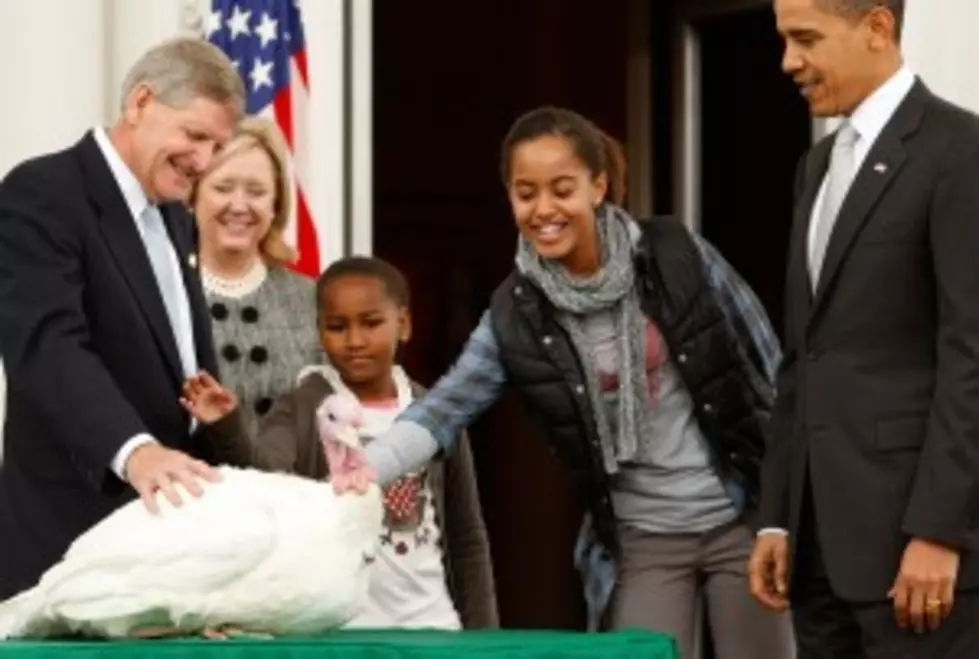 President Obama Pardons Two National Turkeys In 2011