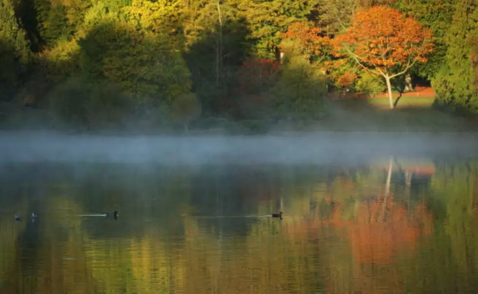 Early Morning Fishing On Labor Day