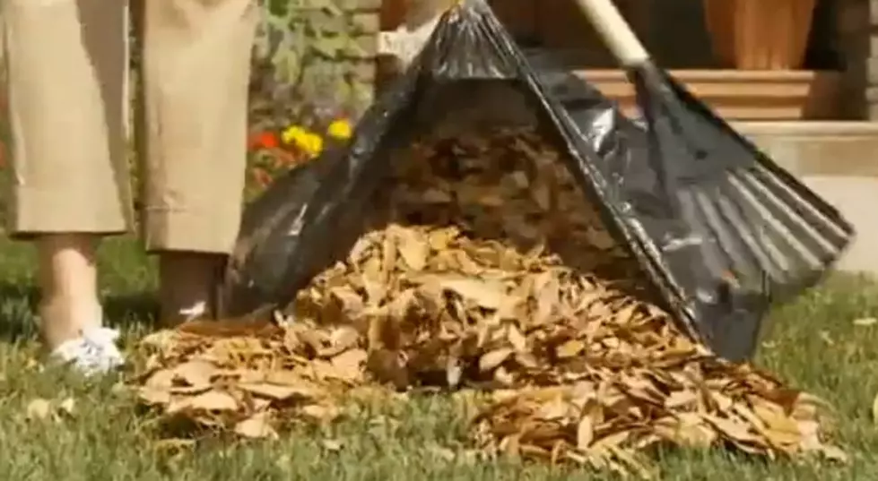UPDATE:  The City Of Duluth No Longer Accepting Bagged Leaves For The Rose Garden