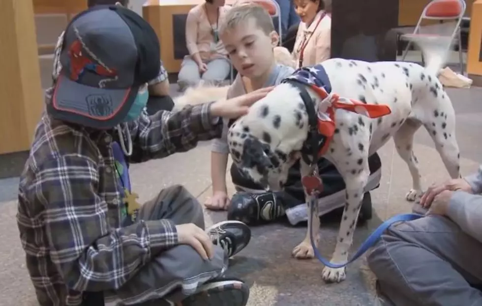 St. Jude Patients Have Some Fun With Four-Legged Visitors [VIDEO]