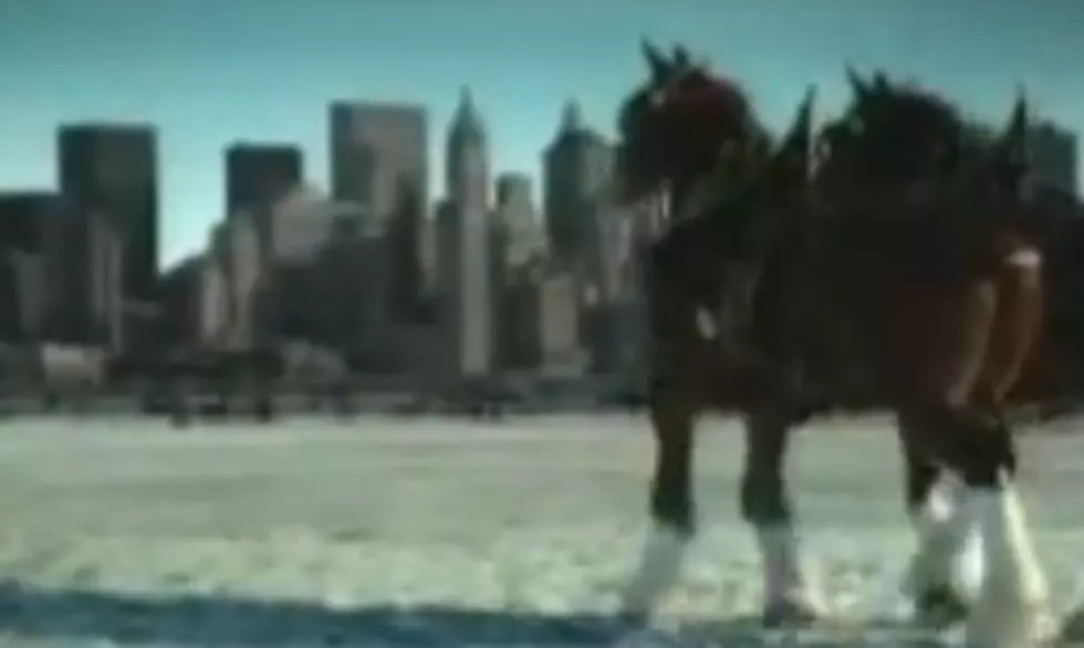 Budweiser Commercial You Probably Never Saw Paid Tribute to 9/11 [VIDEO]